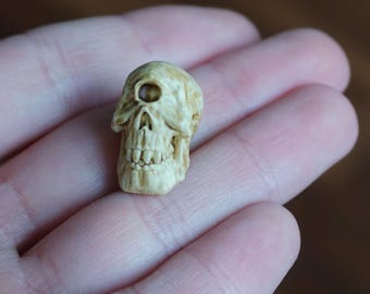 Miniature Human Bones, Horror Halloween diorama, terrarium, room box