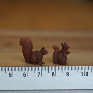 Miniatuureekhoorn, schattige bosdieren