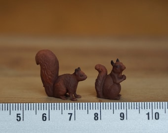 Écureuil miniature, animaux de la forêt mignons