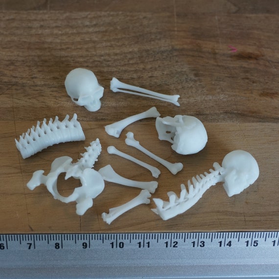 Miniature Human Bones, Horror Halloween diorama, terrarium, room box