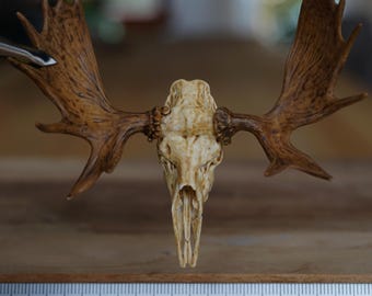 Miniature Moose Skull, 1:12 scale for desert diorama, dollhouse
