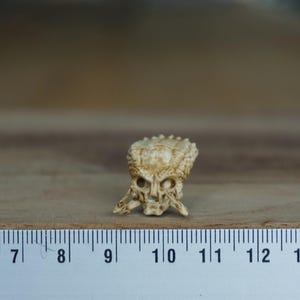 Miniature Predator Skull, horror Halloween-diorama, terrarium decoration