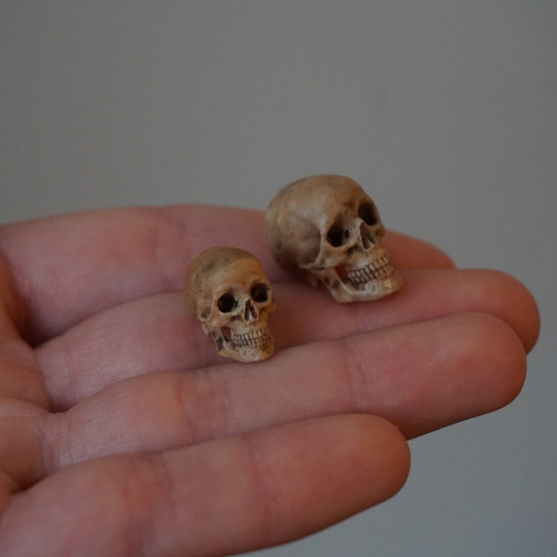 Peut inclure: Deux petites figurines de cr&acirc;nes d&eacute;taill&eacute;es. Les cr&acirc;nes sont de couleur beige clair, avec des dents et des orbites visibles. Ils sont pos&eacute;s sur un fond neutre.