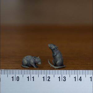 Può includere: Due piccole statuette di ratti grigi. Una è seduta, l'altra è in piedi. Le statuette sono su una superficie di legno accanto a un righello. Le statuette sono lunghe circa 2,5 cm.