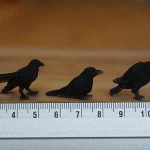 May include: Three black crow figurines, each about 2 inches long, are lined up on a wooden surface with a ruler for scale.
