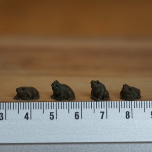 Könnte beinhalten: Vier kleine, dunkelgrüne Froschfiguren, die auf einem Lineal aufgereiht sind. Das Lineal ist mit den Zahlen von 3 bis 9 gekennzeichnet.