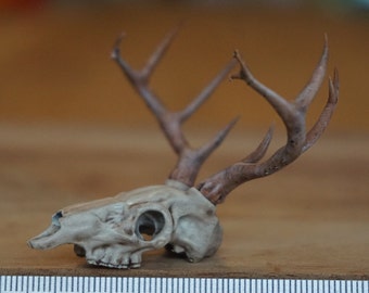 Miniature Deer Skull, 1:12 scale for western desert diorama, dollhouse