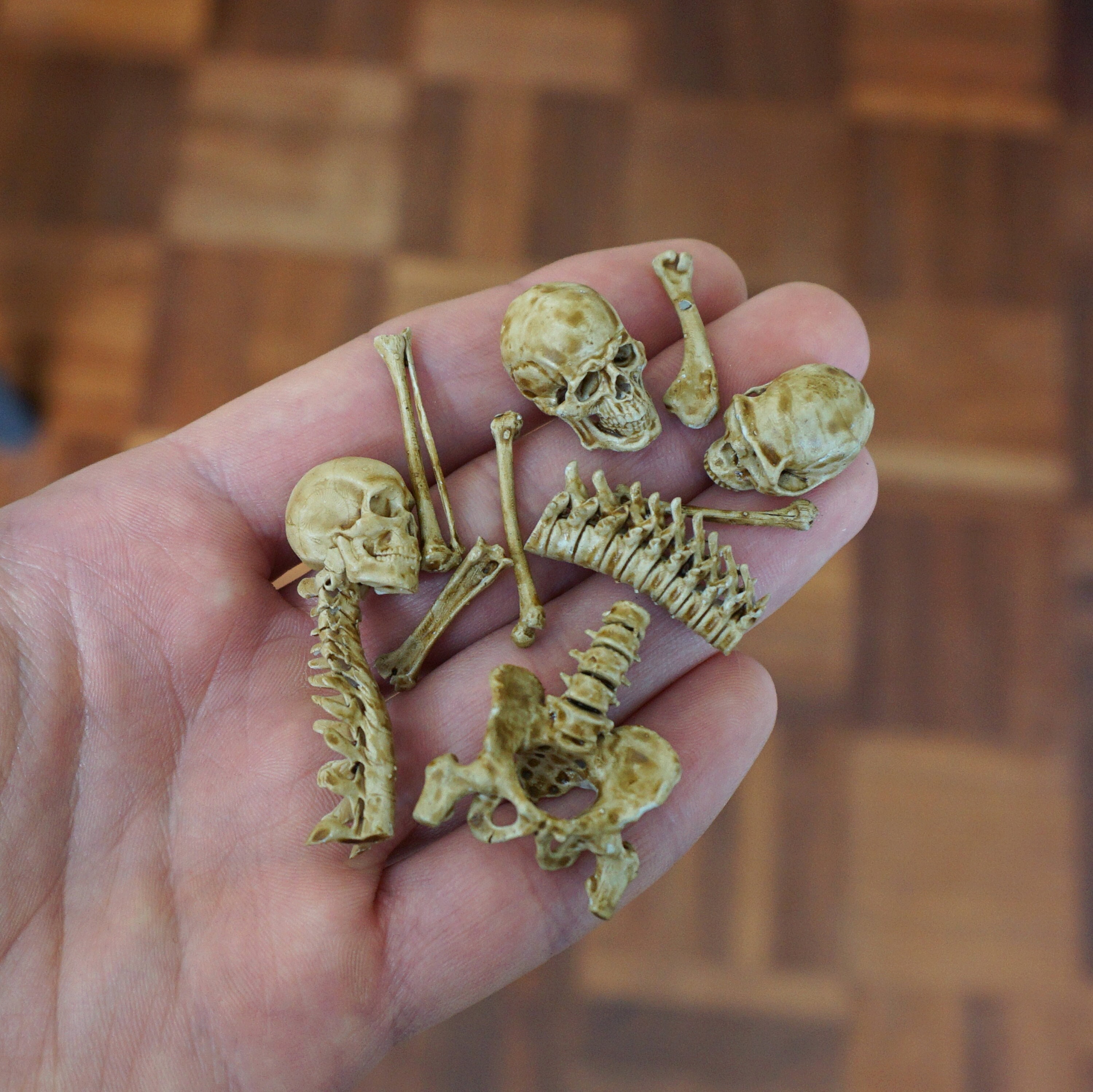 Miniature Human Bones, Horror Halloween Diorama, Terrarium, Room
