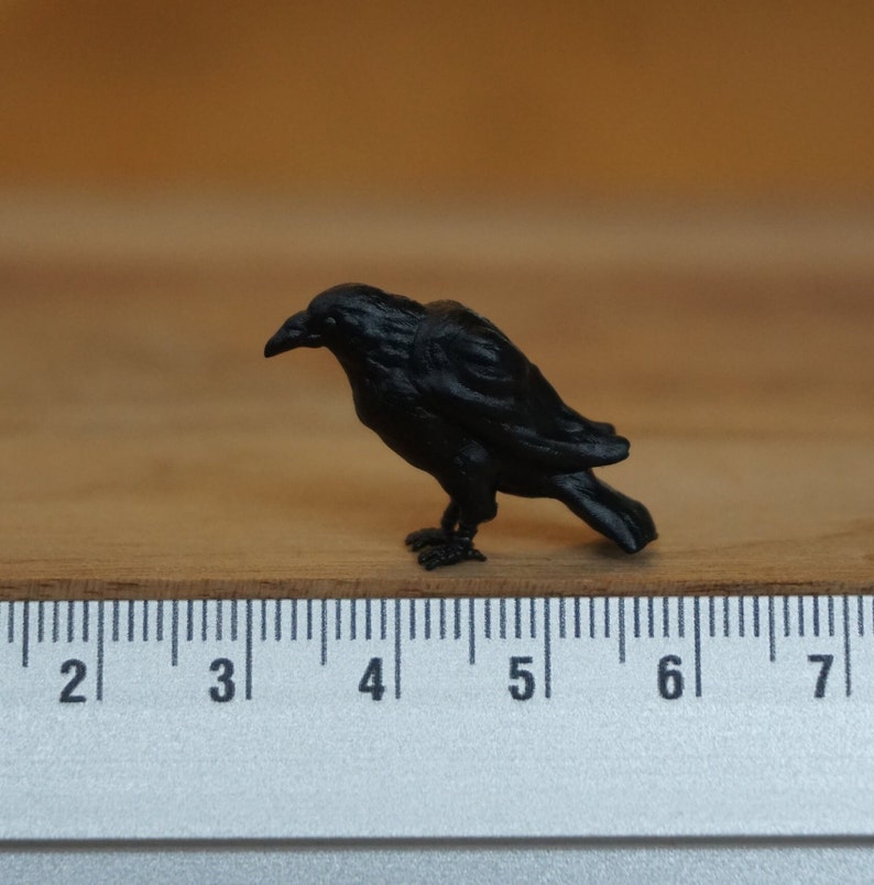 May include: A black crow figurine, approximately 5 cm long, is positioned on a wooden ruler with markings from 2 to 7.