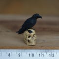 Miniature Raven on Skull, 1:12 scale mini black birds