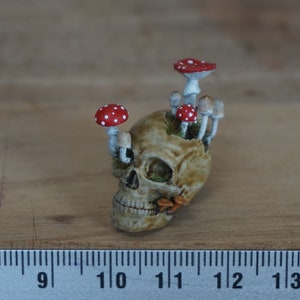 Miniatura overwoekerde schedel, paddenstoel op schaal 1:12