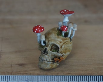 Tête de mort envahie par la végétation miniature, champignon à l'échelle 1:12