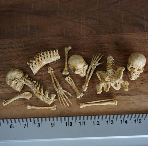 Miniature Human Bones, Horror Halloween diorama, terrarium, room box