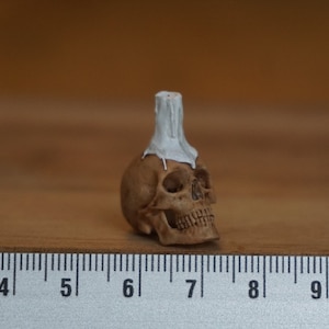 Miniature Skull with Candle, Horror Halloween diorama, terrarium supply