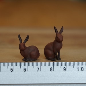 Miniature Rabbits, Cute Forest Animals