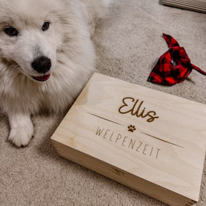 May include: A wooden box with the name "Ellis" and the text "Welpenzeit" engraved on the lid. A white dog is sitting in the background.