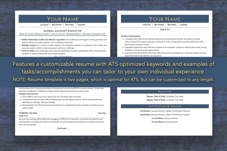 Sales/account Executive Resume Template: Instant Download! Customizable ...