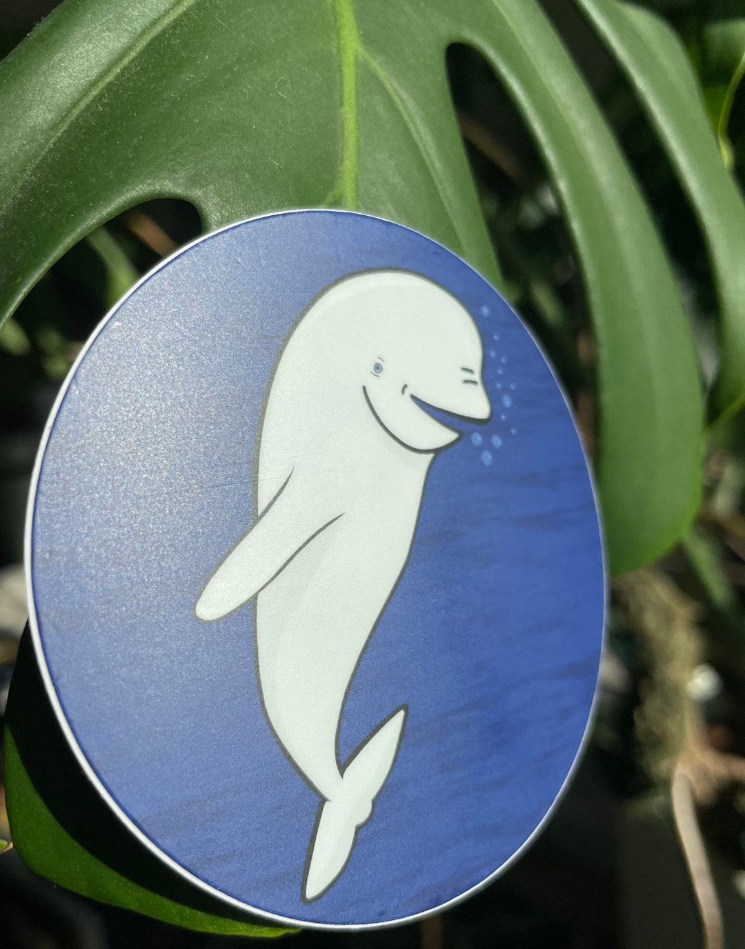 Cute Beluga Whale Round Sticker | Alaska Whale | Ocean | White Whale ...