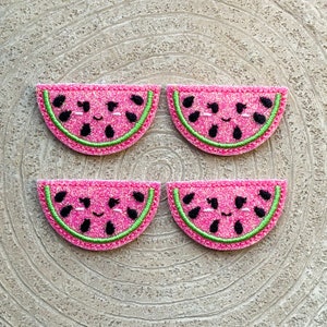 Watermelon Felties