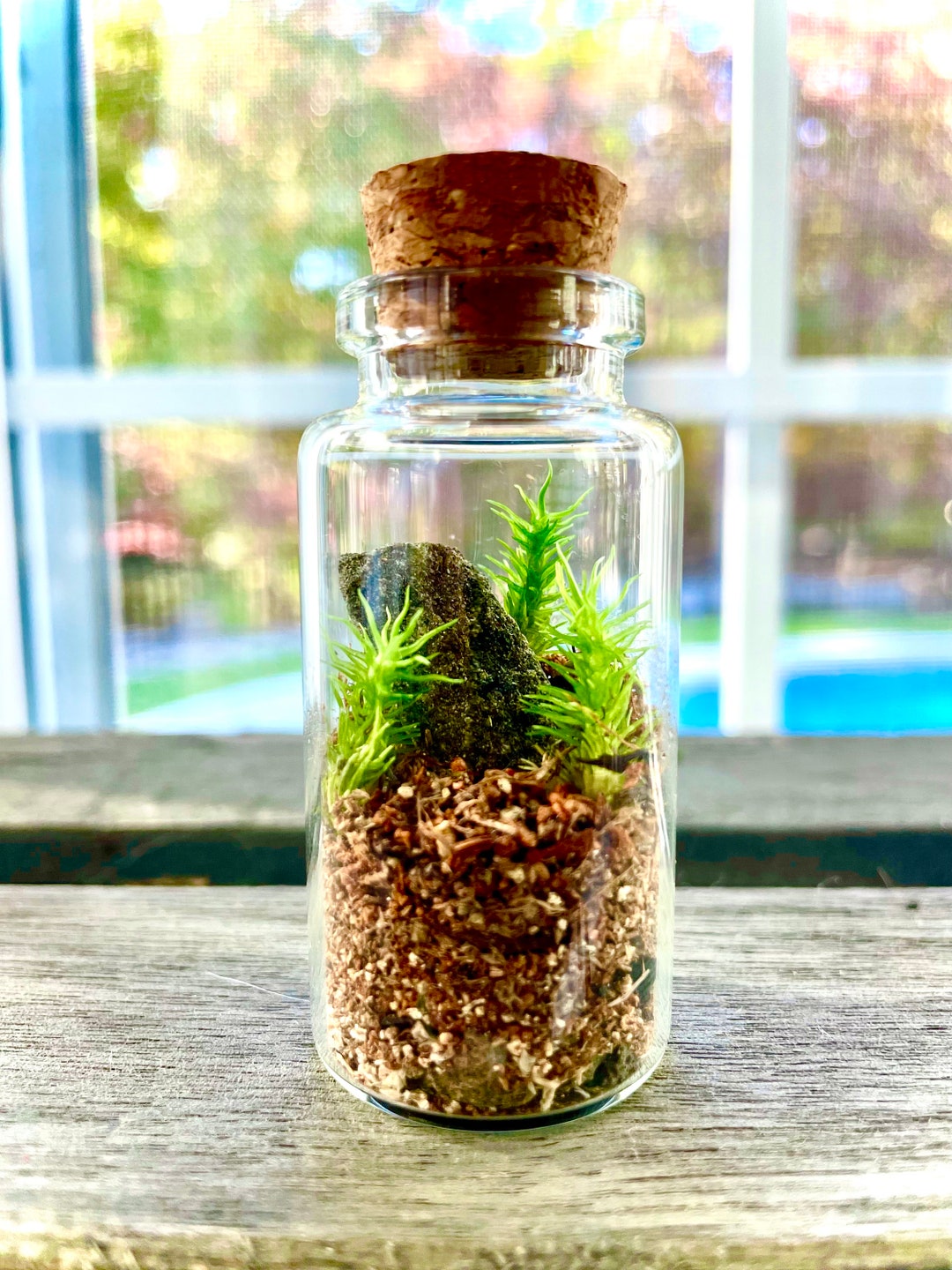 Mini Rock Forest Terrarium Zen Garden Terrarium Garden Etsy