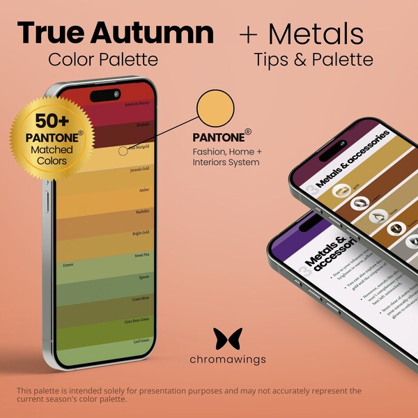 Palette de couleurs automnales vraies (chaudes) + métaux | Éventail d'échantillons numériques Pantone | Palette de saison | Analyse des couleurs