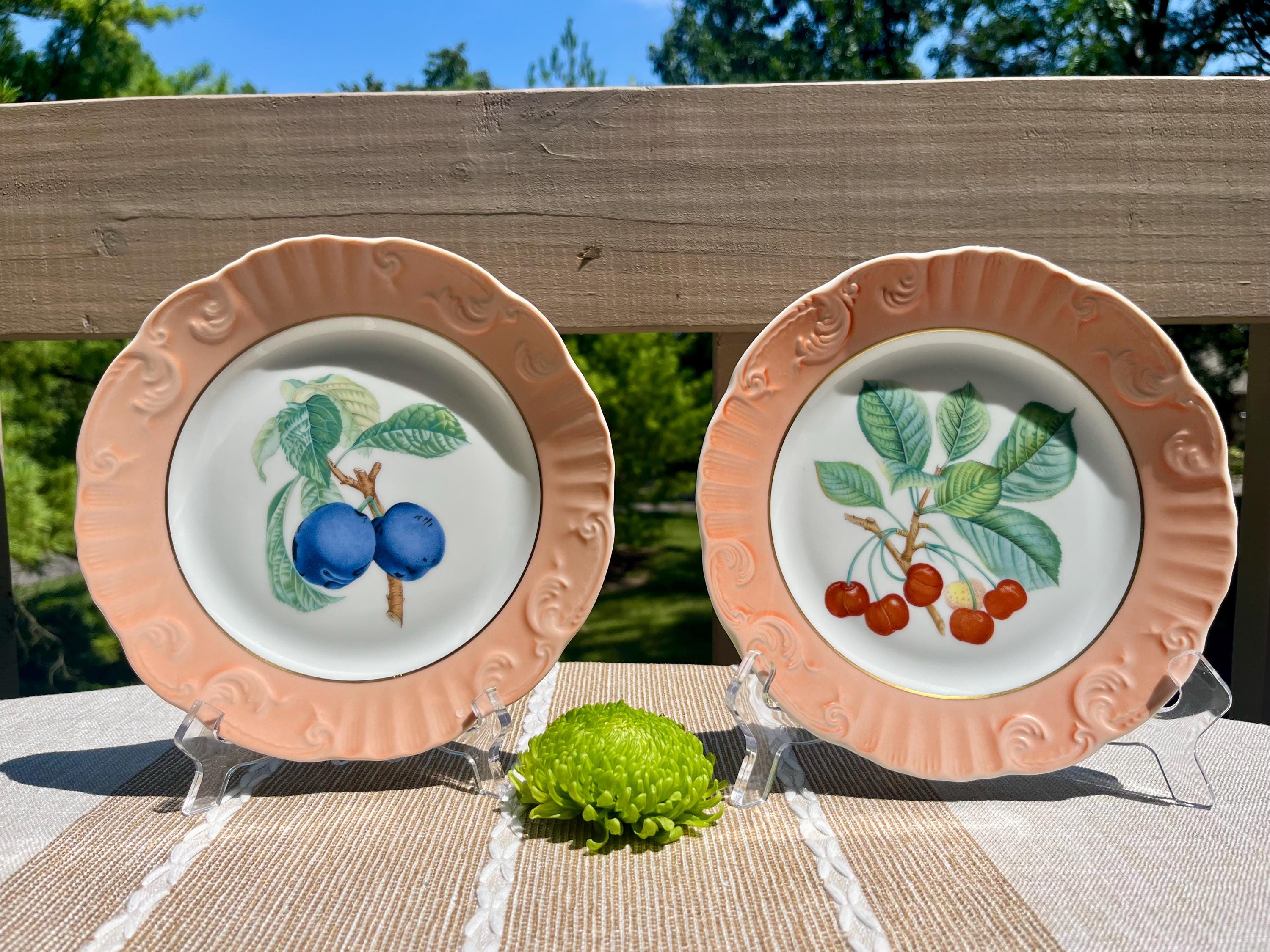 90s Fruit Plates - Etsy