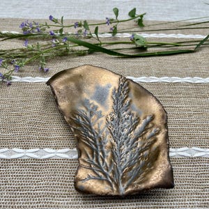 May include: A small, irregular, bronze-colored ceramic dish featuring a raised, textured botanical imprint of a fern-like plant. The surface has a metallic, weathered finish with dark gray highlights accentuating the intricate leaf details.