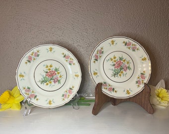 2 Vintage Spring 6” bread/ appetizer Plates. 1940’s. Black Knight ‘Delmonte’ Fine China made in Germany. Shabby chic style