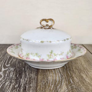 WM Guerin & Co Limoges Covered Butter Dish With Strainer Pink Roses