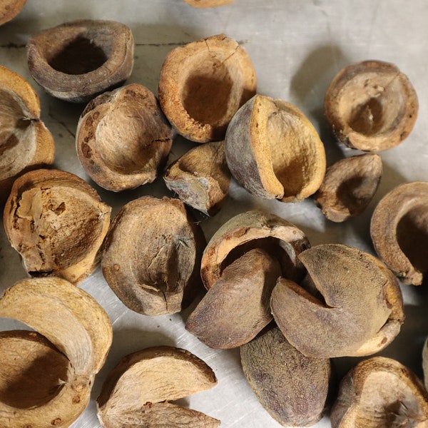 Hickory nut hulls 2023 crop Meat smoking