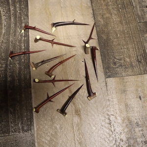 50 meidoorndoorns, 2 inch lang en langer, scherpe doorn