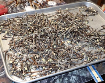 May include: A metal tray filled with a large quantity of dried, brown, thorny branches. The branches are arranged in a random pattern and appear to be of various lengths and thicknesses.