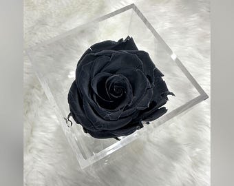 Limited Offer - Premium Black Forever Rose | Infinity Black Love Rose - Gifts For Her - Valentine's Day Gift for Special Occasion, Birthday