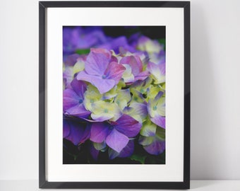 Instant Download High Quality Purple Hydrangea Photo | Simple Floral Photography | Purple Aesthetic Room Decor | Relaxing Neutral Wall Decor