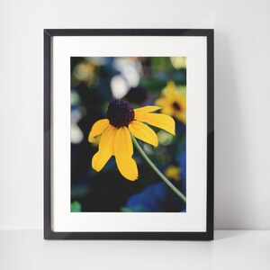 Descarga instantánea de alta calidad Black Eyed Susan Photo / Decoración de pared floral versátil / Arte de pared floral para sala de espera, clínica, biblioteca