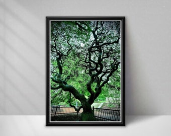 Fotografía de árbol de arte de pared de naturaleza