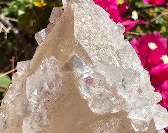 Spécimen de calcite optique dorée AAA avec apophyllite et druzy de sucre provenant d'Inde