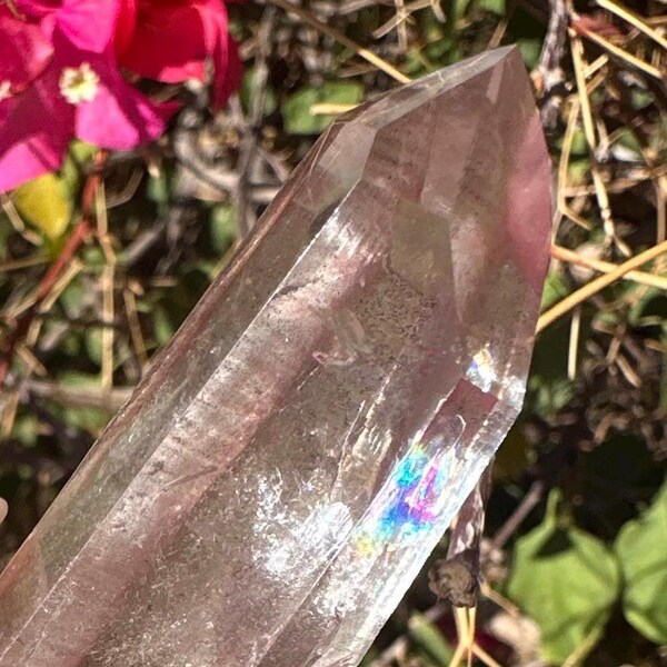 AAA roze Lemurisch kwartskristal: regenboog, zender, link naar toekomstige tijd