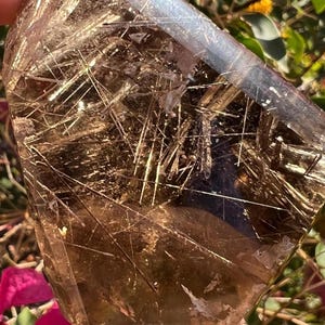 Extra-Quality Smoky Quartz with Golden Rutile Inclusions from Novo Horizonte, Bahia, Brazil