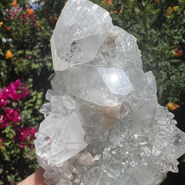 Stunning AAA Quality Diamond Apophyllite with Stilbite and Blue Chalcedony Cluster from India, 227 grams