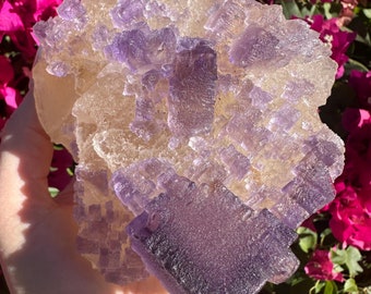 Large Cave in Rock Fluorite Specimen: Yellow and Purple Stepped Crystal
