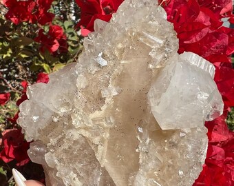 Calcite optique dorée avec apophyllite et dendrites en diamant - Inde