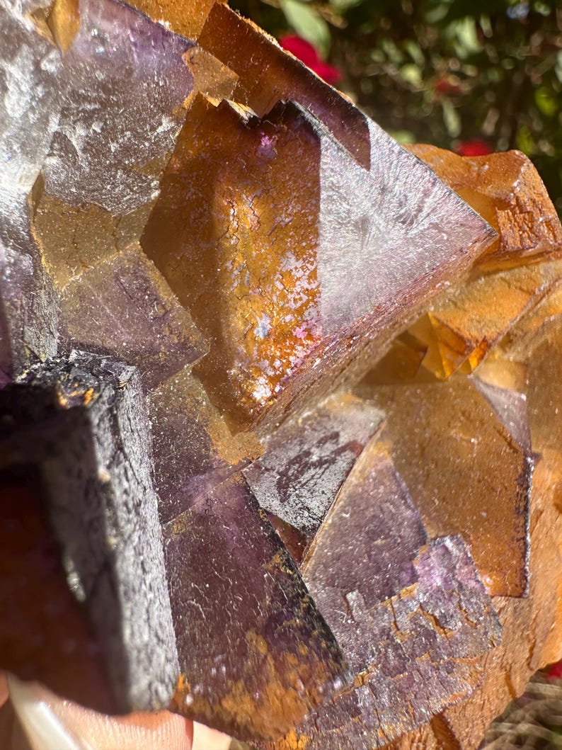 May include: A large cluster of purple and orange fluorite crystals. The crystals are intergrown and have a variety of shapes and sizes. The fluorite is translucent and has a glassy luster.