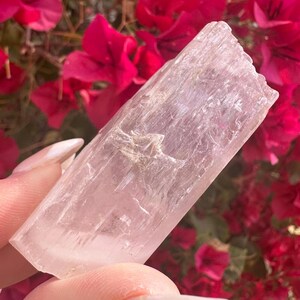 Cristal de kunzita rosa gema con arcoíris imagen 6