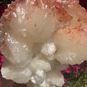 Könnte beinhalten: Nahaufnahme eines Clusters aus weißen und cremefarbenen Kristallen mit rötlich-braunen Akzenten. Die Kristalle haben eine raue, strukturierte Oberfläche und sind in einer natürlichen Formation zusammengefasst. Der Hintergrund ist mit rosa Blumen verschwommen.