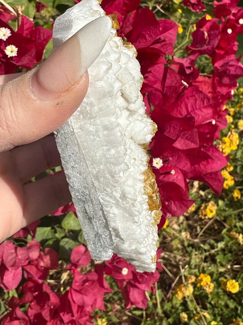 May include: A white and yellow crystal cluster with a textured surface. The crystal is held in front of a background of red flowers and green foliage. The crystal has a rough, natural appearance.