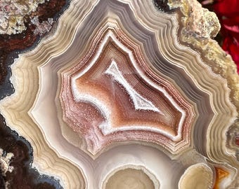 Laguna Agate: Mexican Moss Inclusions, Paralax Banding, Collector&#39;s Gem