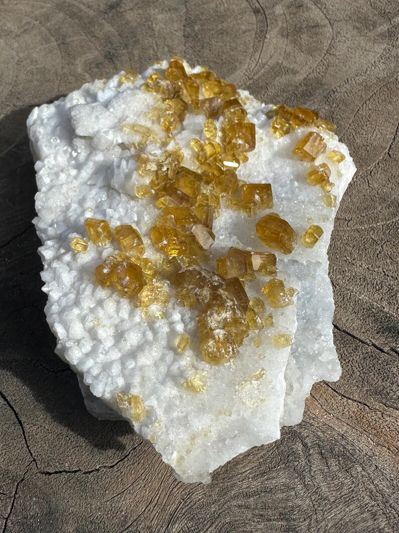 May include: A natural mineral specimen featuring a white, crystalline base with clusters of golden-yellow crystals. The crystals have a sparkling, translucent appearance. The overall shape is irregular, showcasing the raw beauty of the stone.