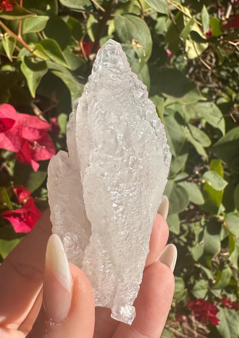 Puede incluir: Un c&uacute;mulo de cristales de cuarzo transparentes con una superficie rugosa y texturizada. Los cristales est&aacute;n agrupados en una formaci&oacute;n &uacute;nica, creando una forma natural y org&aacute;nica.