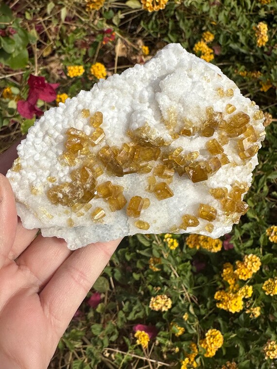 Gem Quality Golden Barite with Quartz and Fluorite Specimen